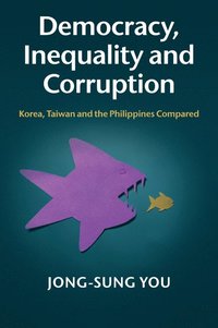 bokomslag Democracy, Inequality and Corruption