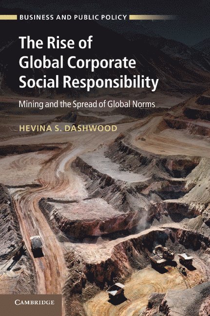 Rise of Global Corporate Social Responsibility 1