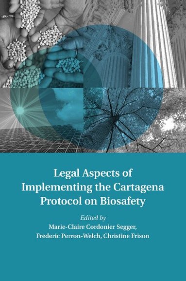 Marie-Claire Cordonier Segger, Frederic Perron-Welch, Christine Frison - Legal Aspects of Implementing the Cartagena Protocol on Biosafety, Häftad