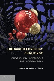 bokomslag Nanotechnology Challenge