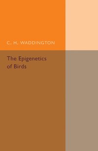 bokomslag The Epigenetics of Birds