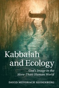 bokomslag Kabbalah and Ecology