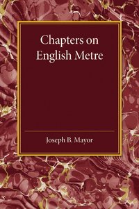 bokomslag Chapters on English Metre