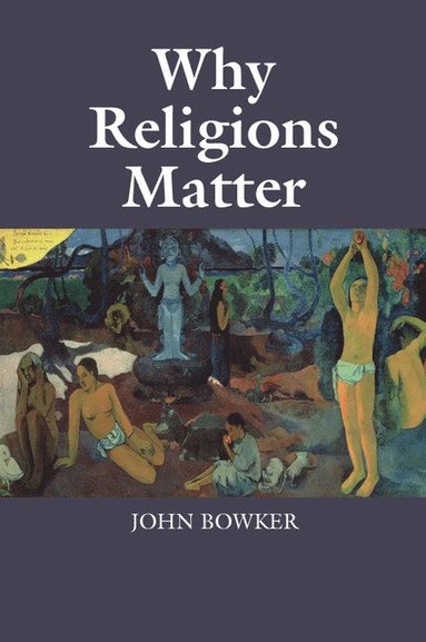 bokomslag Why Religions Matter