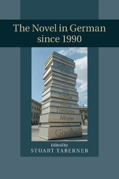 Stuart Taberner - The Novel in German since 1990, Häftad