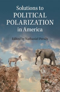 bokomslag Solutions to Political Polarization in America