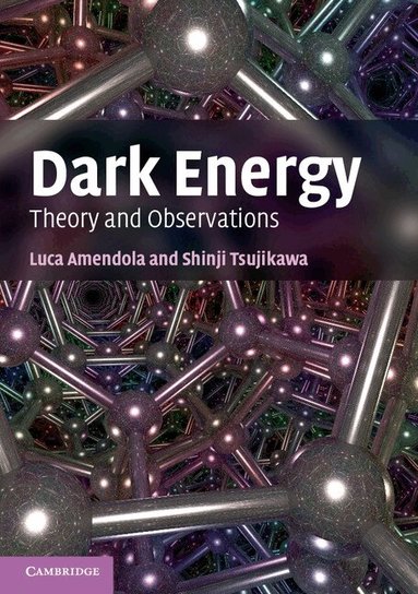 Luca Amendola, Shinji Tsujikawa - Dark Energy, Häftad