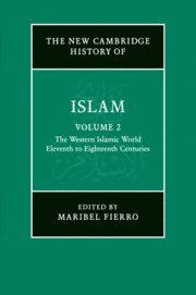 bokomslag The New Cambridge History of Islam: Volume 2, The Western Islamic World, Eleventh to Eighteenth Centuries