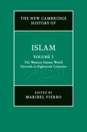 bokomslag The New Cambridge History of Islam: Volume 2, The Western Islamic World, Eleventh to Eighteenth Centuries