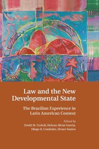 bokomslag Law and the New Developmental State