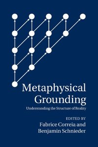 bokomslag Metaphysical Grounding