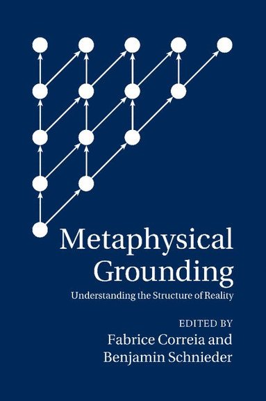 bokomslag Metaphysical Grounding