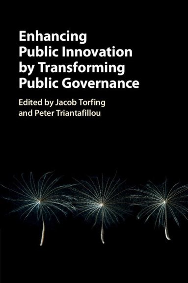 Jacob Torfing, Peter Triantafillou - Enhancing Public Innovation by Transforming Public Governance, Häftad