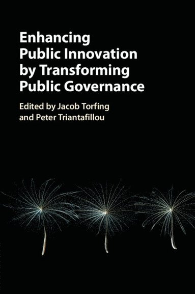 bokomslag Enhancing Public Innovation by Transforming Public Governance