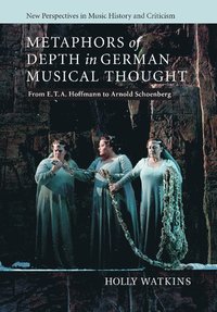 bokomslag Metaphors of Depth in German Musical Thought