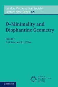 bokomslag O-Minimality and Diophantine Geometry