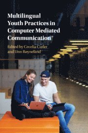 bokomslag Multilingual Youth Practices in Computer Mediated Communication