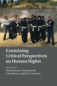 bokomslag Examining Critical Perspectives on Human Rights