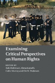 bokomslag Examining Critical Perspectives on Human Rights