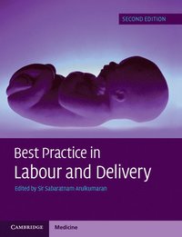 bokomslag Best Practice in Labour and Delivery