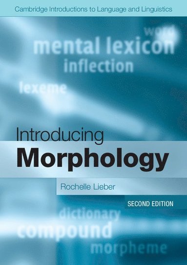 bokomslag Introducing Morphology