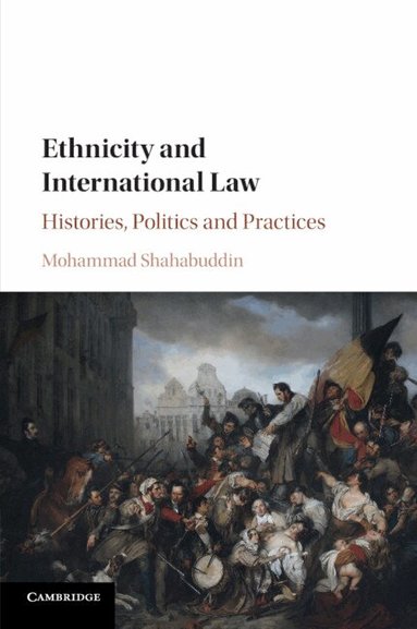 Mohammad Shahabuddin - Ethnicity and International Law, Häftad