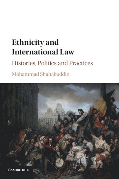 bokomslag Ethnicity and International Law