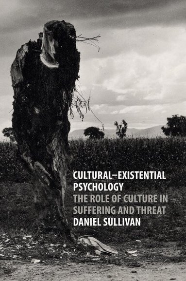 Daniel Sullivan - Cultural-Existential Psychology, Häftad