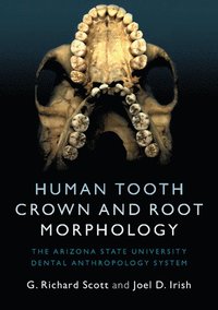 bokomslag Human Tooth Crown and Root Morphology