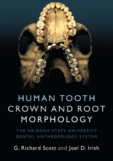 Human Tooth Crown and Root Morphology 1