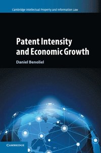bokomslag Patent Intensity and Economic Growth
