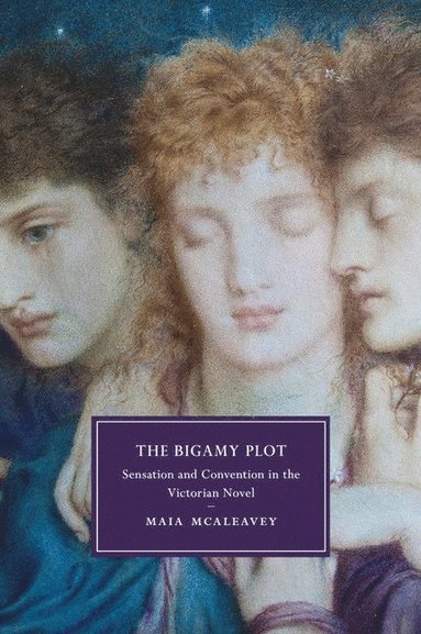 bokomslag The Bigamy Plot