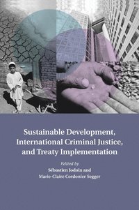bokomslag Sustainable Development, International Criminal Justice, and Treaty Implementation
