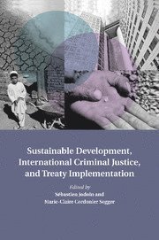 Sustainable Development, International Criminal Justice, and Treaty Implementation 1