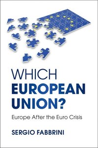 bokomslag Which European Union?
