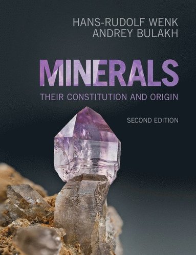 bokomslag Minerals