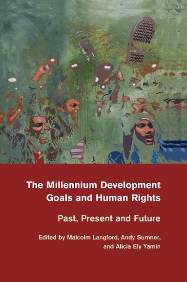 Malcolm Langford, Andy Sumner, Alicia Ely Yamin - The Millennium Development Goals and Human Rights, Häftad