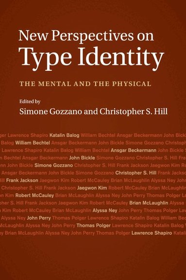 Simone Gozzano, Christopher S. Hill - New Perspectives on Type Identity, Häftad