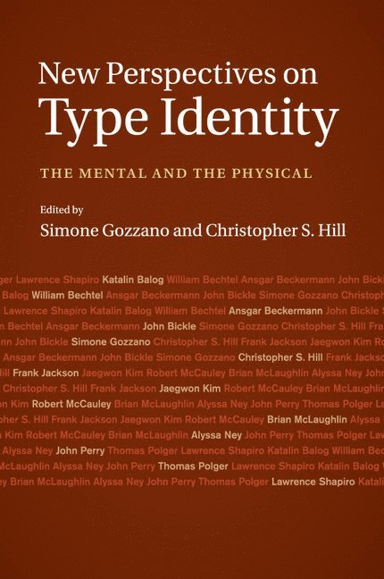 New Perspectives on Type Identity 1