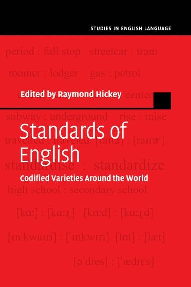 bokomslag Standards of English