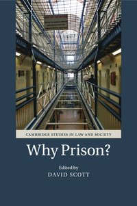 bokomslag Why Prison?