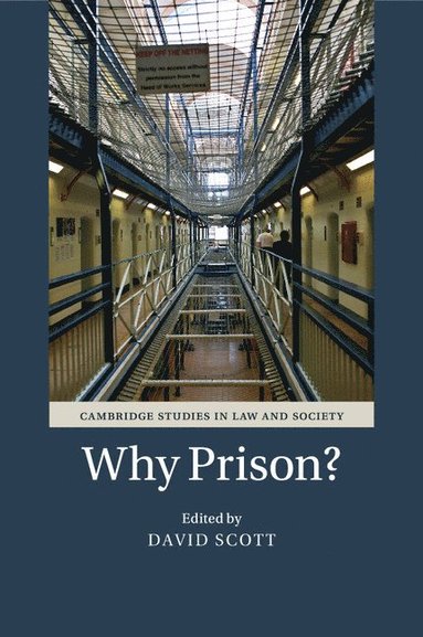 bokomslag Why Prison?
