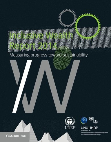 bokomslag Inclusive Wealth Report 2014