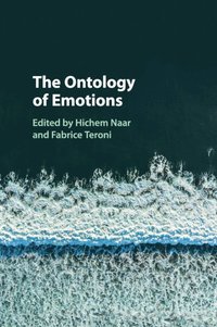 bokomslag The Ontology of Emotions