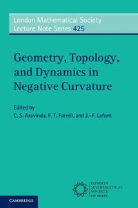 bokomslag Geometry, Topology, and Dynamics in Negative Curvature