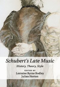 bokomslag Schubert's Late Music