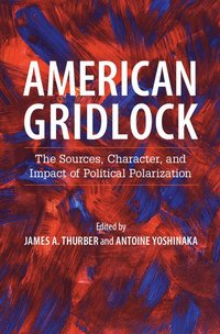 bokomslag American Gridlock