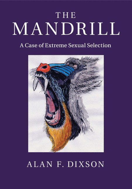 The Mandrill 1