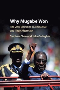 bokomslag Why Mugabe Won