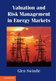 bokomslag Valuation and Risk Management in Energy Markets